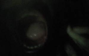 僕の命言霊(事実の地獄) - 真鍋哲地