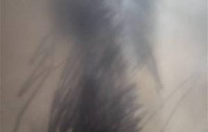 情けないけど(母ちゃんがあんなことになった時点で、僕の人生、終わってる) - 真鍋哲地