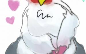 ヘビクイワシ - Tetra