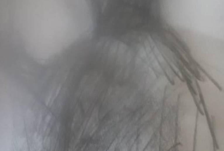 わしの仏様、いっもみちょるけえ - 真鍋哲地 