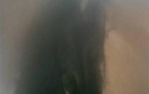 わしのお、母ちゃんのを逢いたいいんじゃーーつ - 真鍋哲地