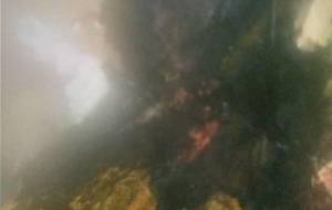 雷神、わしを愛せと - 真鍋哲地