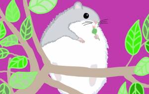 モモンガの夕ごはん - ちろ