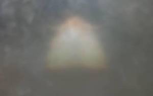 蛾愛姫、ありがとうね - 真鍋哲地