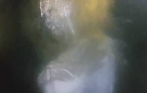 僕の自然思いメッセージ - 真鍋哲地