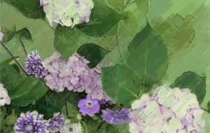 窓辺の花 - はるえ