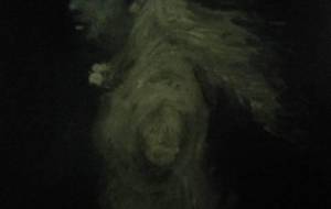 障害者の少女よ、例えば貴女は鬼のように差別されてるかも知れない(でも貴女の愛は美しい、そう貴女は美しい) - 真鍋哲地