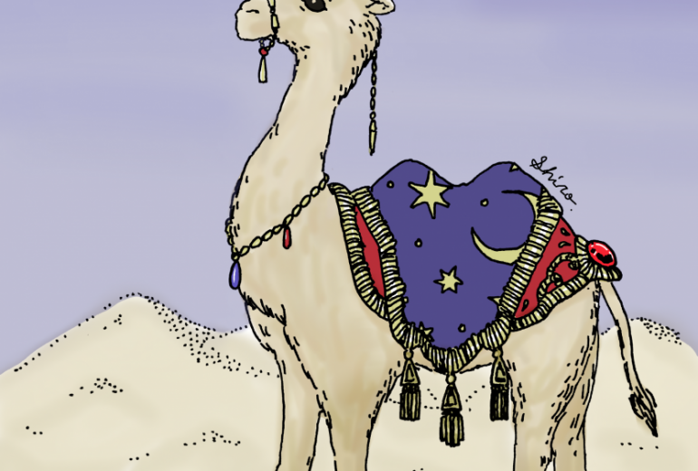 砂漠の駱駝