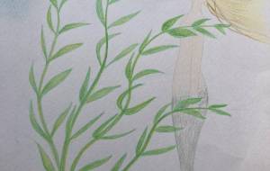 海の中の人魚 - みちる