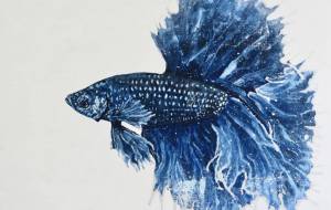 星空の中で - 【イベント】可能性アートプロジェクト 2024