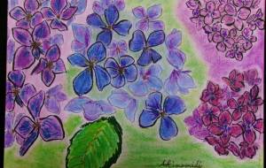 七変花録 - 明紅葉