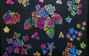 混彩陽花 - 明紅葉