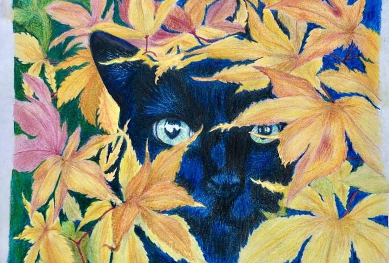 黒猫の森【秋】ー１