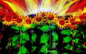 太陽のめざめ - 【イベント】可能性アートプロジェクト 2024