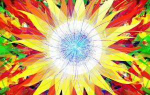 ヒマワリボシ - 【イベント】可能性アートプロジェクト 2024