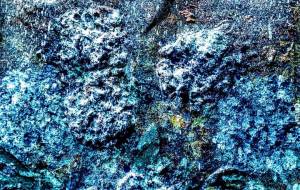 つばめ - 久保田 俊