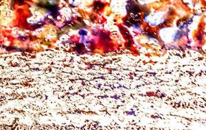 うみにゆうひ - 久保田 俊