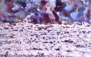 うみにゆうひ - 久保田 俊