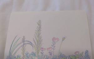 やさしい花々 - 【イベント】可能性アートプロジェクト 2024