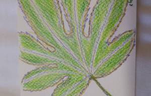 おおきな手 - 【イベント】可能性アートプロジェクト 2024