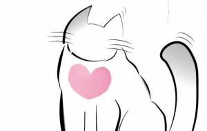 ハートフル ネコ - まことん。