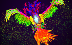 魂吸い鳥 - Qoo717