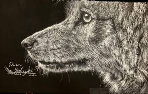 オオカミ - 吉崎 莉菜