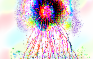 心の大樹 - Qoo717