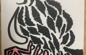 八咫烏 - ガショウソウ