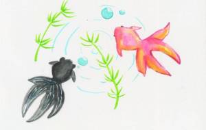 金魚 - 【イベント】可能性アートプロジェクト 2024