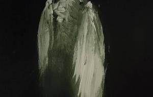 妖怪堕天使ぬっぺぷほふ - 真鍋哲地