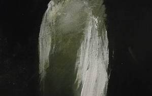 純粋光の神、或いは、暗黒邪神 - 真鍋哲地