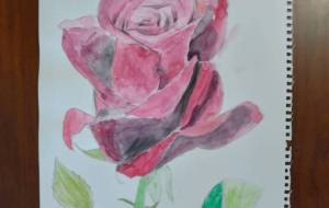 うつくしきバラ - 【イベント】可能性アートプロジェクト 2024