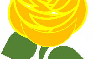 父の日の黄色いバラ - ゆりぽ 