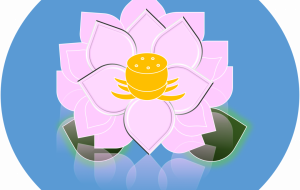 蓮(Excel使用) - ゆりぽ