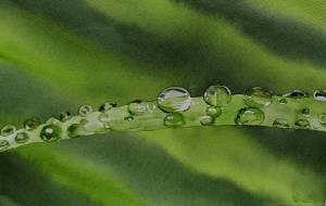 露 - 【イベント】可能性アートプロジェクト 2024