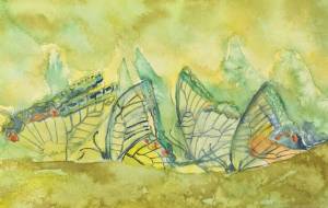 揚羽たち - 【イベント】可能性アートプロジェクト 2024