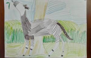 オカピ - 【イベント】可能性アートプロジェクト 2024