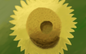 ひまわり - zibun