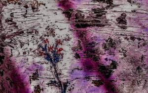 水影 - 久保田 俊