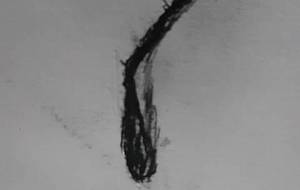 昆虫の足（環境問題アート主義） - 真鍋哲地 