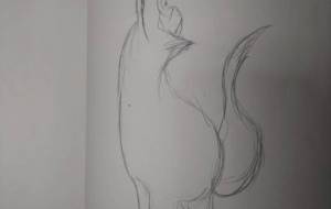 フェンリル2 - しょーへい