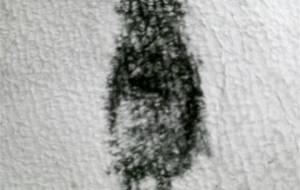 君は優しい、君は僕の妹(生まれて来てくれてありがとう!) - 真鍋哲地