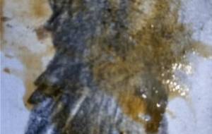 画家の思い現代 - 真鍋哲地