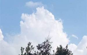 平和、空、ふるさと - 真鍋哲地