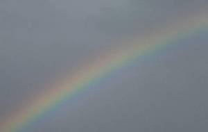 アートの輪さん皆さん取り敢えず写真投稿を休止します - 真鍋哲地