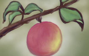 すももおいしい - 角+