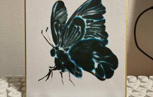 アゲハ蝶 - タカツキミドリ 