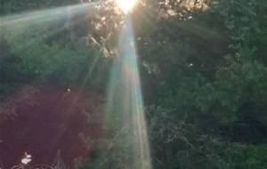 母さん気持ちいい朝です、母さん今日も元気ですか?(久しぶりの写真投稿) - 真鍋哲地