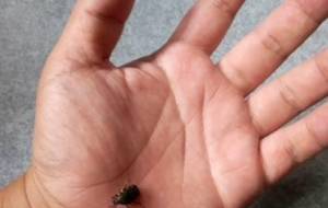 一生懸命描いた、絵画ギャラリーで売れました!ーーーっ写真作品ですアート輪さん没でも構いません - 真鍋哲地